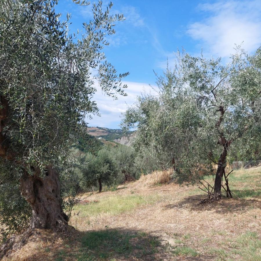 Villa Ferranti Abruzzo Montefino Esterno foto