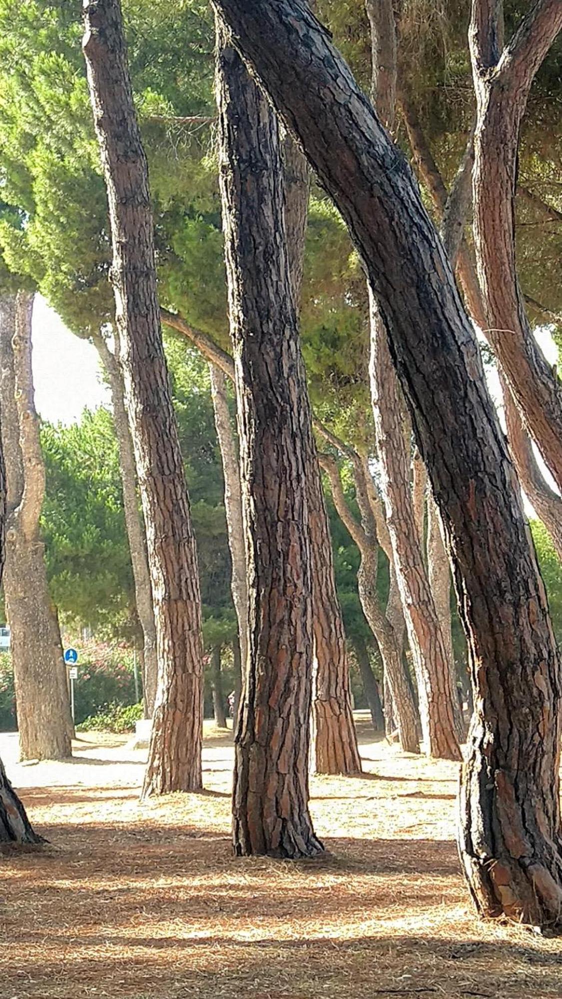 Villa Ferranti Abruzzo Montefino Esterno foto