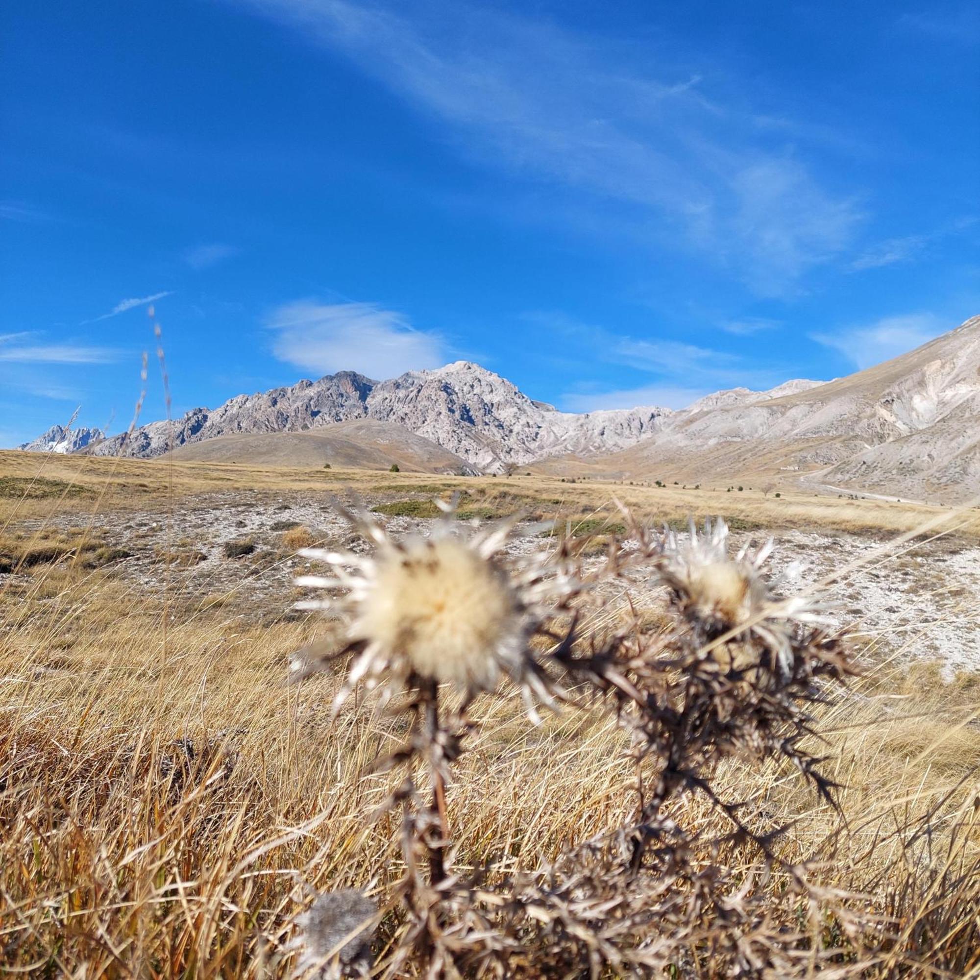 Villa Ferranti Abruzzo Montefino Esterno foto